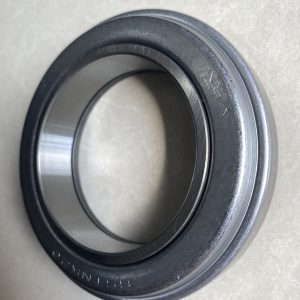 Alternative view of Bạc Đạn Ly Hợp ( Pite )